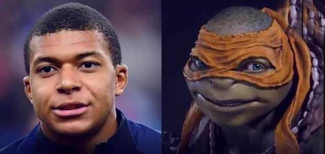 记者：郑智有望接替邵佳一执教青岛西海岸